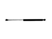 Tailgate/trunk strut/damper
