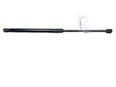 Tailgate/trunk strut/damper