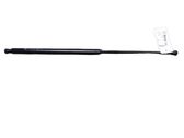 Tailgate/trunk strut/damper
