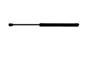 Tailgate/trunk strut/damper