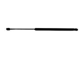 Tailgate/trunk strut/damper