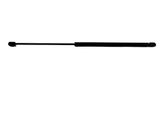 Tailgate/trunk strut/damper