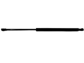Front bonnet/hood damper/strut
