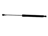 Tailgate/trunk strut/damper