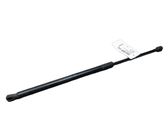 Tailgate/trunk strut/damper
