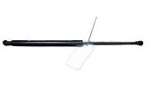 Tailgate/trunk strut/damper