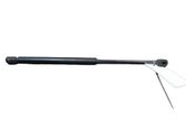 Tailgate/trunk strut/damper