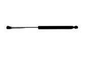 Tailgate/trunk strut/damper
