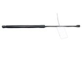 Tailgate/trunk strut/damper