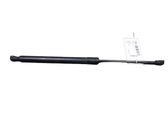 Tailgate/trunk strut/damper