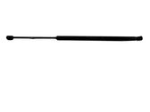 Tailgate/trunk strut/damper