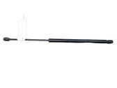 Tailgate/trunk strut/damper