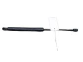 Tailgate/trunk strut/damper