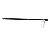 Tailgate/trunk strut/damper