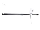 Tailgate/trunk strut/damper