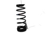 Rear coil spring