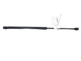 Tailgate/trunk strut/damper