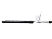 Tailgate/trunk strut/damper