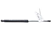 Tailgate/trunk strut/damper