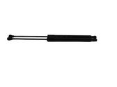 Tailgate/trunk strut/damper