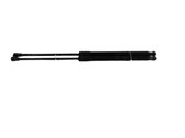 Tailgate/trunk strut/damper