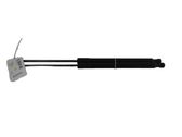 Tailgate/trunk strut/damper