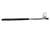 Tailgate/trunk strut/damper