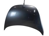 Engine bonnet/hood