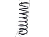 Rear coil spring