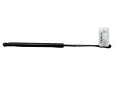Tailgate/trunk strut/damper