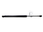 Tailgate/trunk strut/damper