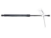 Tailgate/trunk strut/damper