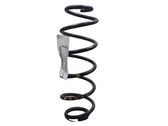 Rear coil spring