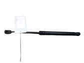 Tailgate/trunk strut/damper