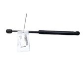 Tailgate/trunk strut/damper
