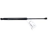 Tailgate/trunk strut/damper