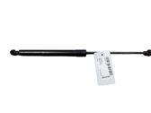 Tailgate/trunk strut/damper