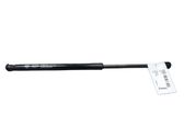 Tailgate/trunk strut/damper