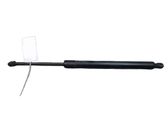 Tailgate/trunk strut/damper