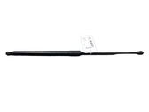 Tailgate/trunk strut/damper