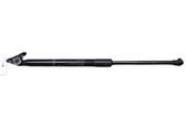 Tailgate/trunk strut/damper