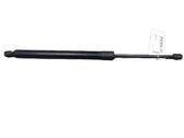 Tailgate/trunk strut/damper