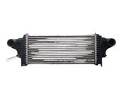 Intercooler radiator