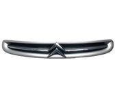 Front bumper upper radiator grill