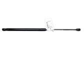 Tailgate/trunk strut/damper