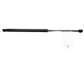 Tailgate/trunk strut/damper