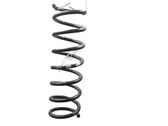 Rear coil spring