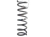 Rear coil spring