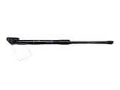 Tailgate/trunk strut/damper