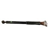 Rear shock absorber/damper